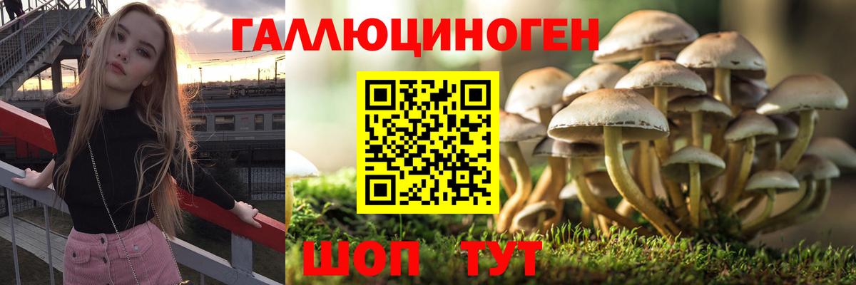 Псилоцибиновые грибы мицелий  Галлюциногенные грибы ЛСД  Вход с VPN  Нижний Новгород 